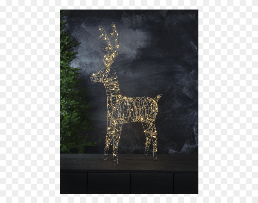 452x601 Light Emitting Diode, Giraffe, Wildlife, Mammal HD PNG Download