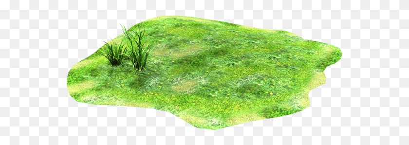 569x238 Light Patch Of Stock Grass Patch Of Grass Clipart, Moss, Plant, Algae HD PNG Download