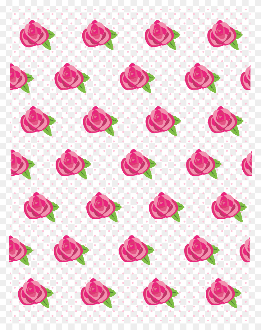 2571x3300 Light Pink Backgrounds For Free Wallpaper, Petal, Flower, Plant Descargar Hd Png