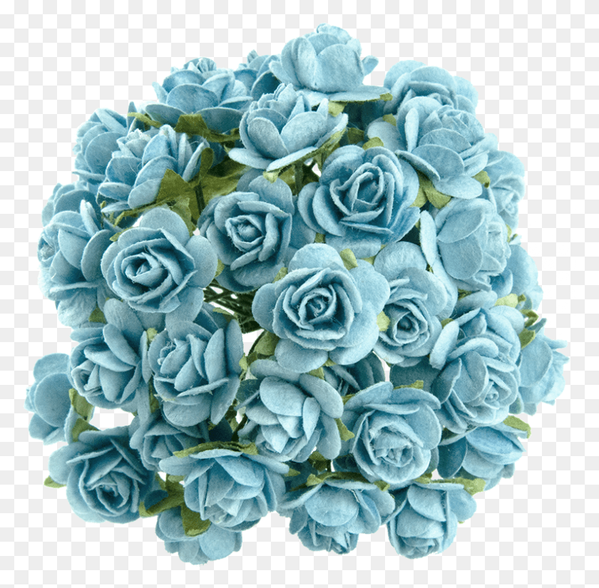 795x780 Светло-Бирюзовая Шелковица Из Бумаги Открытые Розы Прозрачные Бирюзовые Цветы, Растение, Цветочная Композиция, Цветок Png Скачать
