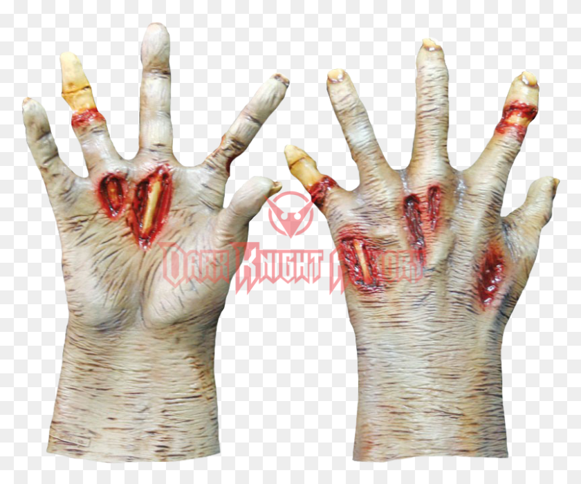 801x658 Light Zombie Hands Hand, Finger, Person, Human HD PNG Download