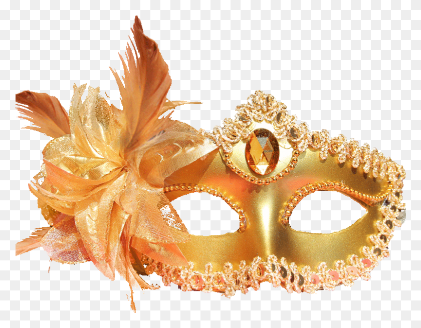 801x612 Lightbox Moreview Masque, Mask, Fungus, Crowd HD PNG Download