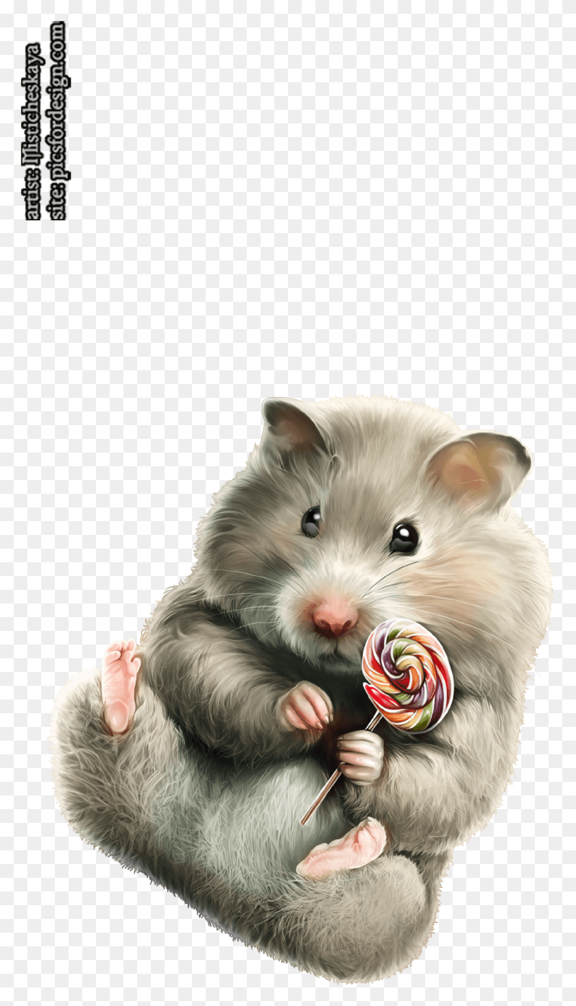977x1763 Like Share Hamster, Food, Lollipop, Candy HD PNG Download