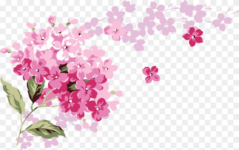 5242x3283 Lilac, Flower, Plant, Cherry Blossom Transparent PNG