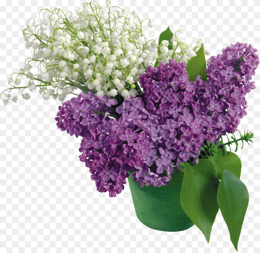 2925x2847 Lilac, Accessories, Ornament, Pattern, Fractal Transparent PNG