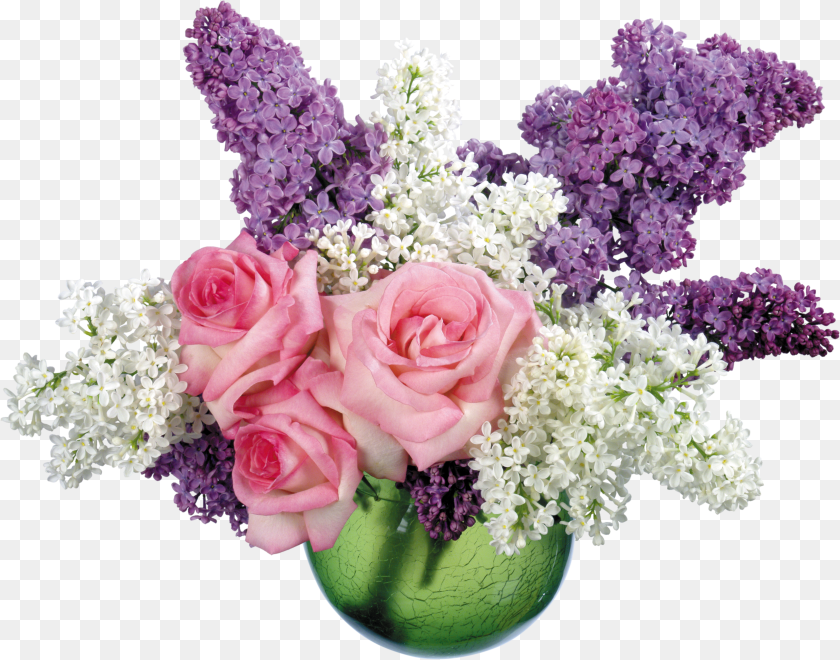 Lilac Clipart PNG