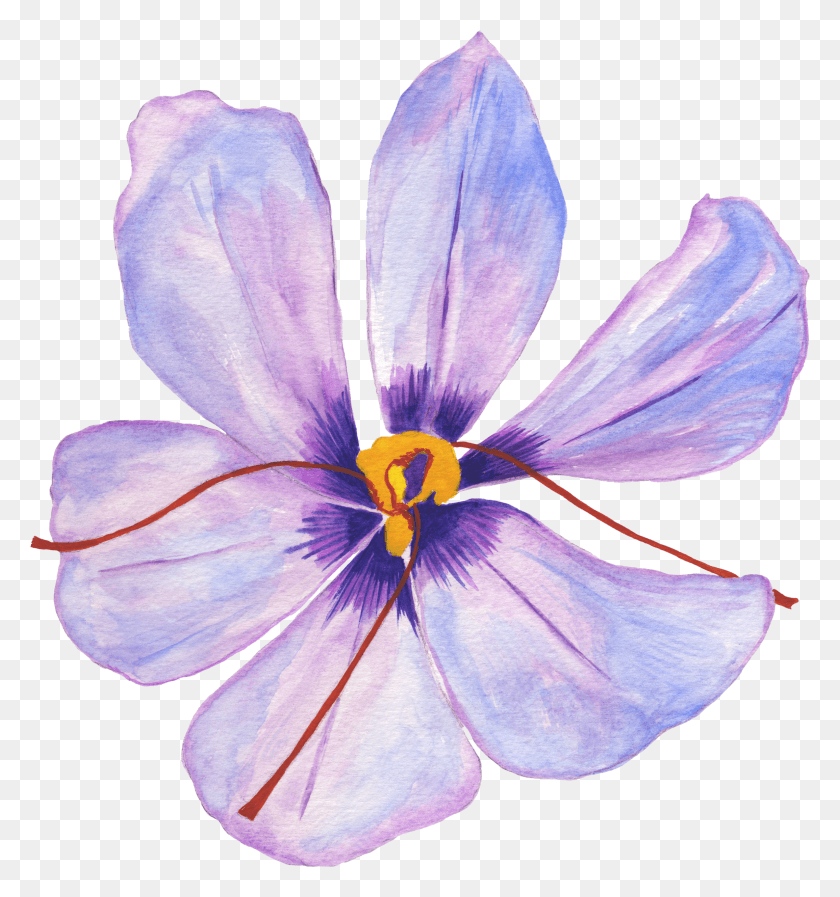 2309x2480 Descargar Png / Flor De Hibisco Hd Png