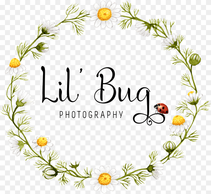Lilbugfloral Bee Kind Wall Art, Plant, Daisy, Flower, Petal Transparent PNG