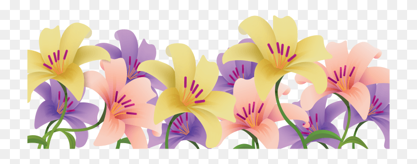 731x270 Lilies Add Long Lasting Color And Fragrance To Flower Happy Easter Lily Clipart, Plant, Blossom, Anther HD PNG Download