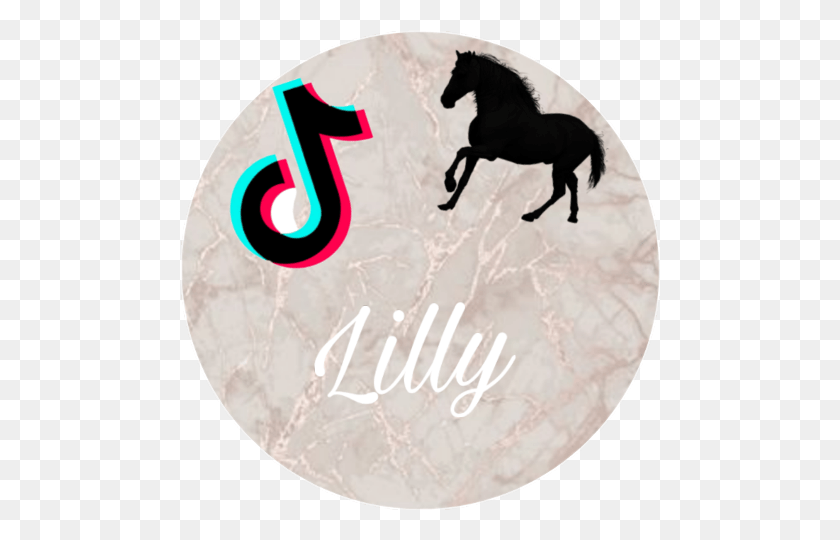 480x480 Lilly Stallion, Text, Number, Symbol HD PNG Download