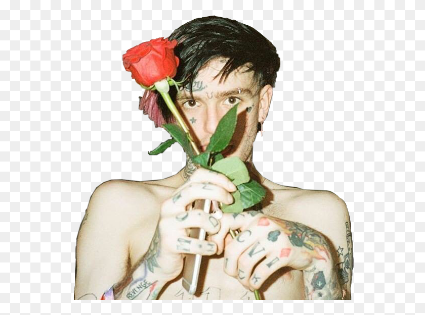 559x564 Lilpeep Sticker Lil Peep With Roses, Skin, Plant, Rose HD PNG Download