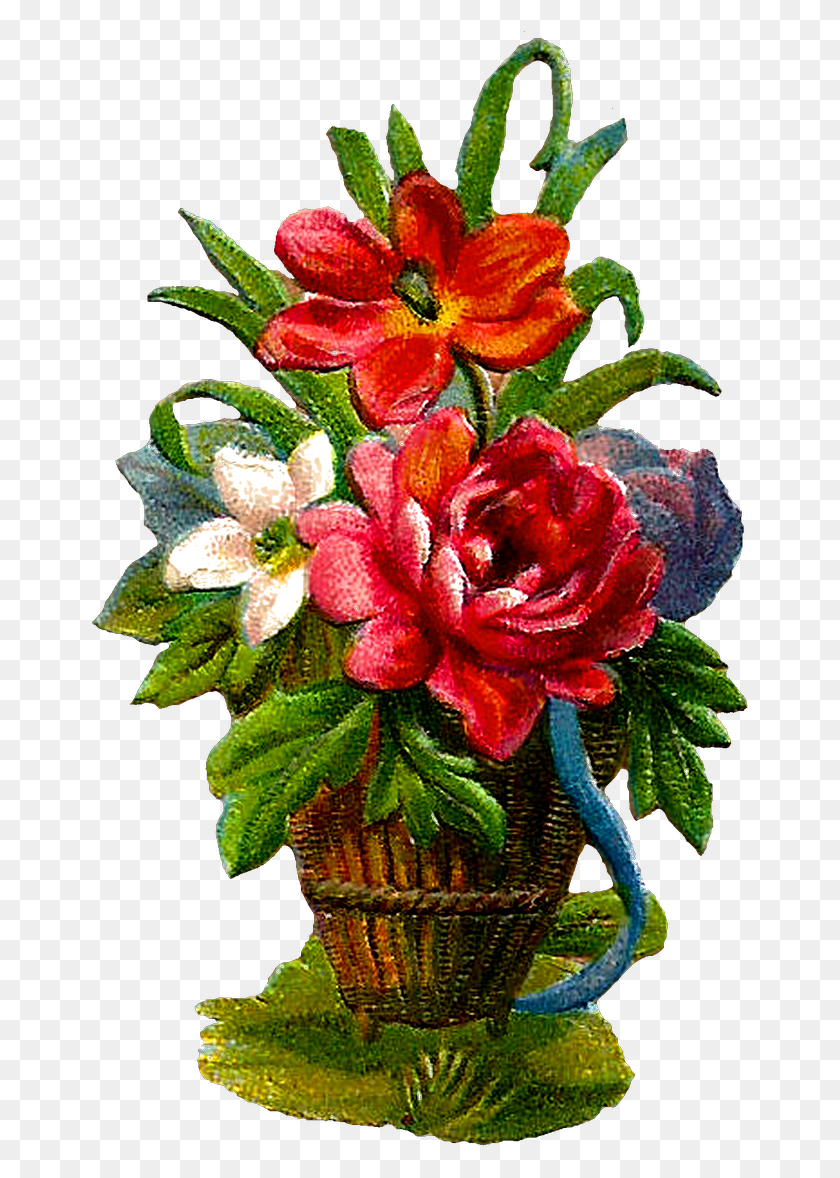661x1118 Лилия, Растение, Цветок, Цветение Hd Png Скачать