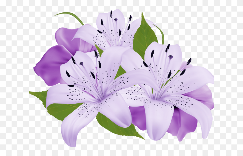 640x480 Lily Clipart Sea Flower Purple Flowers Clipart, Plant, Blossom, Anther HD PNG Download