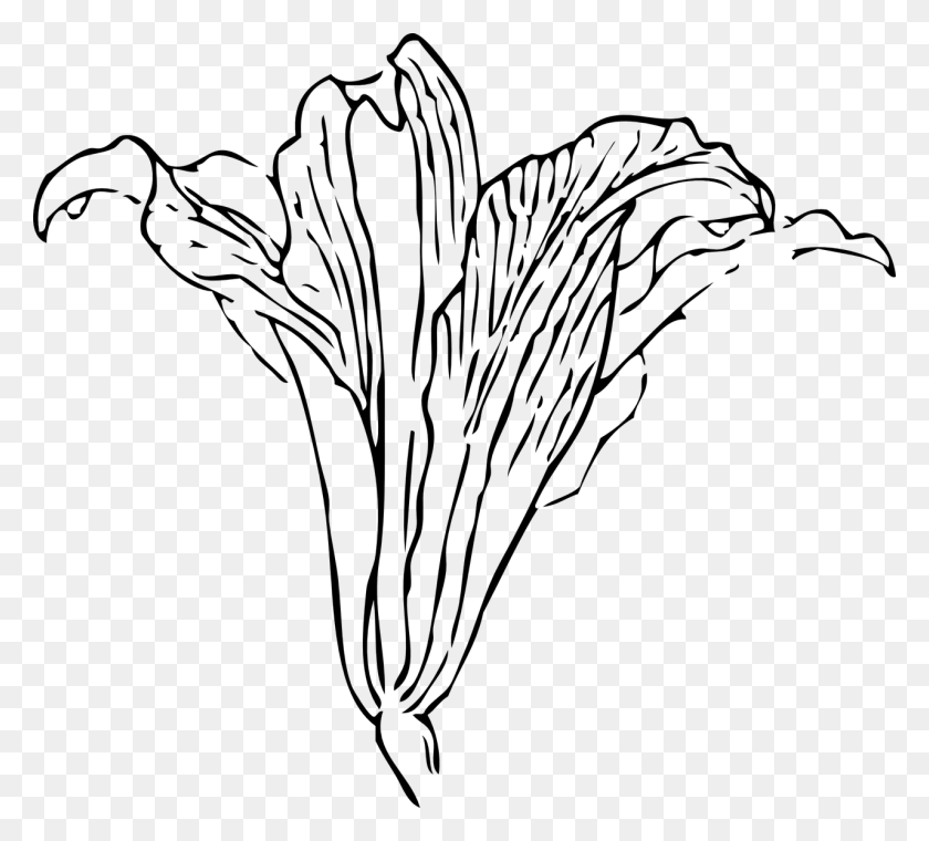 1280x1150 Lily Easter Lily Calla Lily Image Outline Pictures Easter Lilies, Gray, World Of Warcraft HD PNG Download