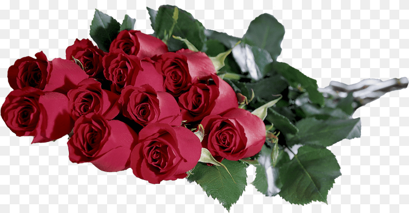 2148x1120 Lily Flower, Flower Arrangement, Flower Bouquet, Plant, Rose Sticker PNG