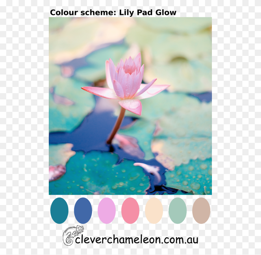 525x761 Descargar Png Lily Pad Glow Color Scheme Palette La Belleza Del Duelo, Planta, Flor, Flor Hd Png