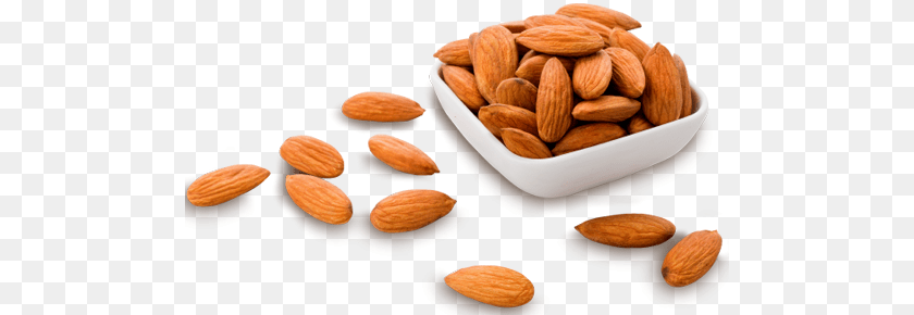 500x290 Lime Almond, Food, Grain, Produce, Seed PNG