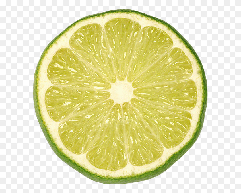 611x613 Lime Lime Slice, Citrus Fruit, Fruit, Plant HD PNG Download