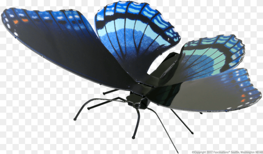 Limenitis Arthemis, Animal, Butterfly, Insect, Invertebrate Sticker PNG