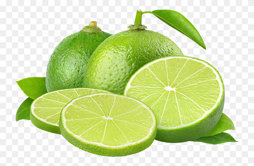 739x489 Limon Persian Lime Pictures Limon Persian, Citrus Fruit, Fruit, Plant HD PNG Download