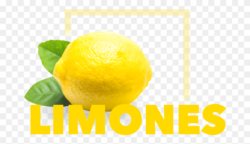 680x423 Descargar Png Limones Ecológicos Limón, Fruta Cítrica, Planta Hd Png