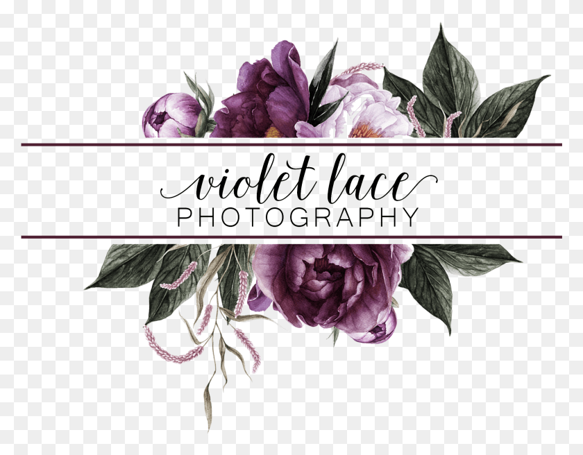 1801x1378 Lindsey Violet Lace Photography Gilliflower, Collage, Poster, Advertisement HD PNG Download