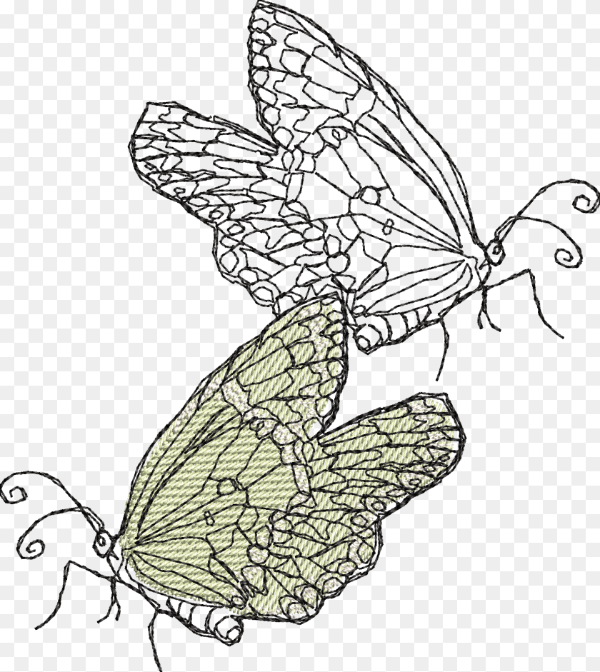 1662x1862 Line Art, Drawing, Animal, Bird Transparent PNG