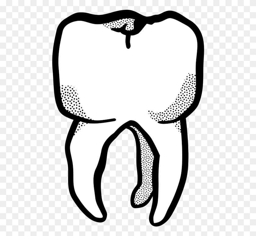 501x715 Line Art Human Tooth Drawing Computer Icons Tooth Line Drawing, Person, Stencil HD PNG Download