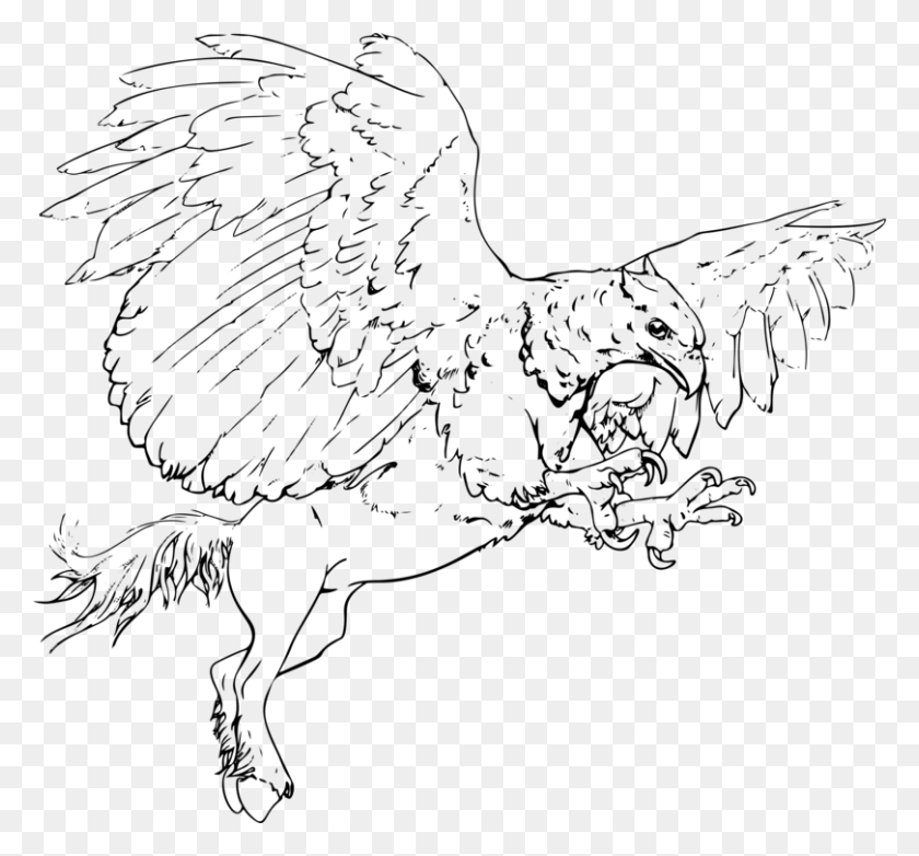 810x750 Line Art Stewie Griffin Hippogriff Rooster Line Art, Gray, World Of Warcraft HD PNG Download