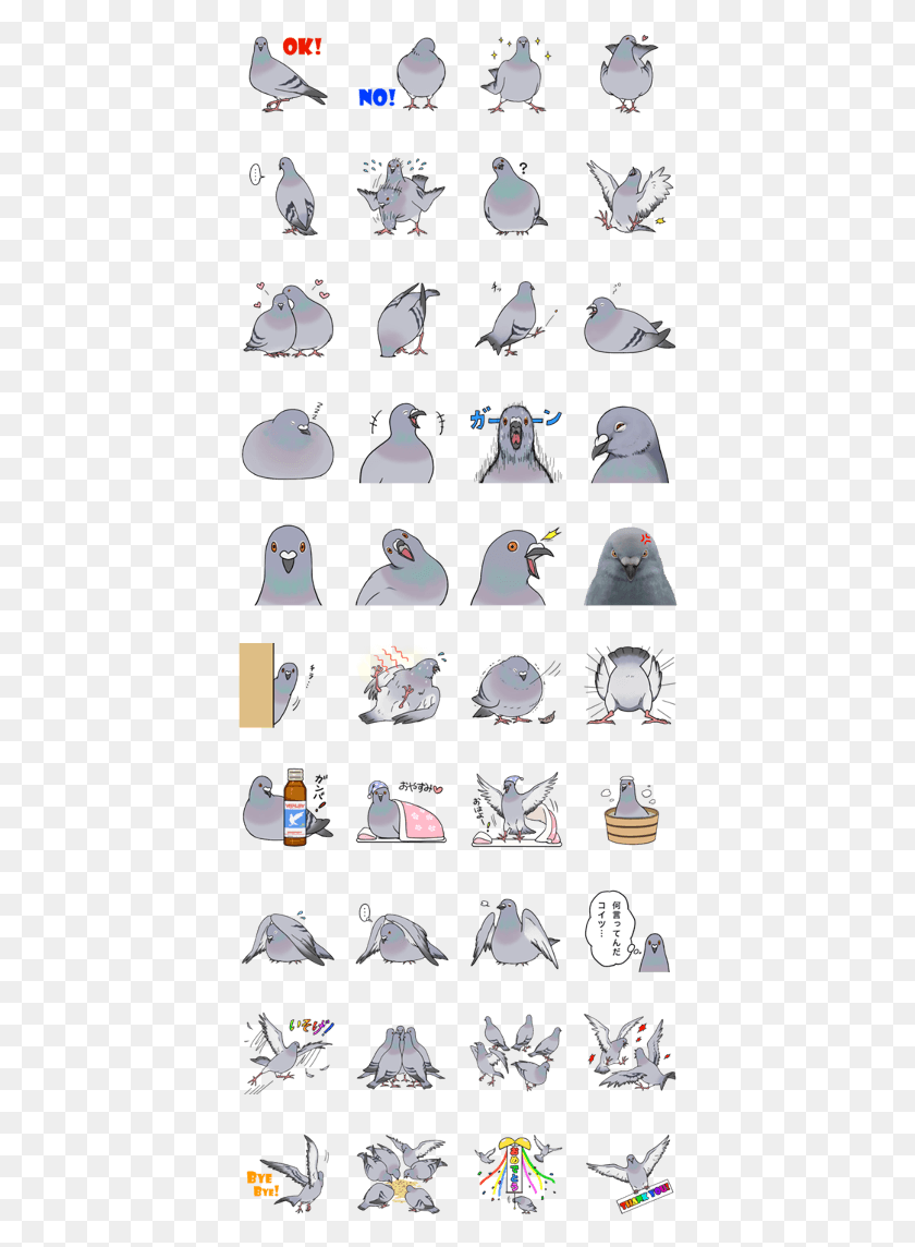 404x1084 Line Dove Pigeon Any Birds Colors Pigeon Pigeon Line Stickers, Penguin, Bird, Animal HD PNG Download