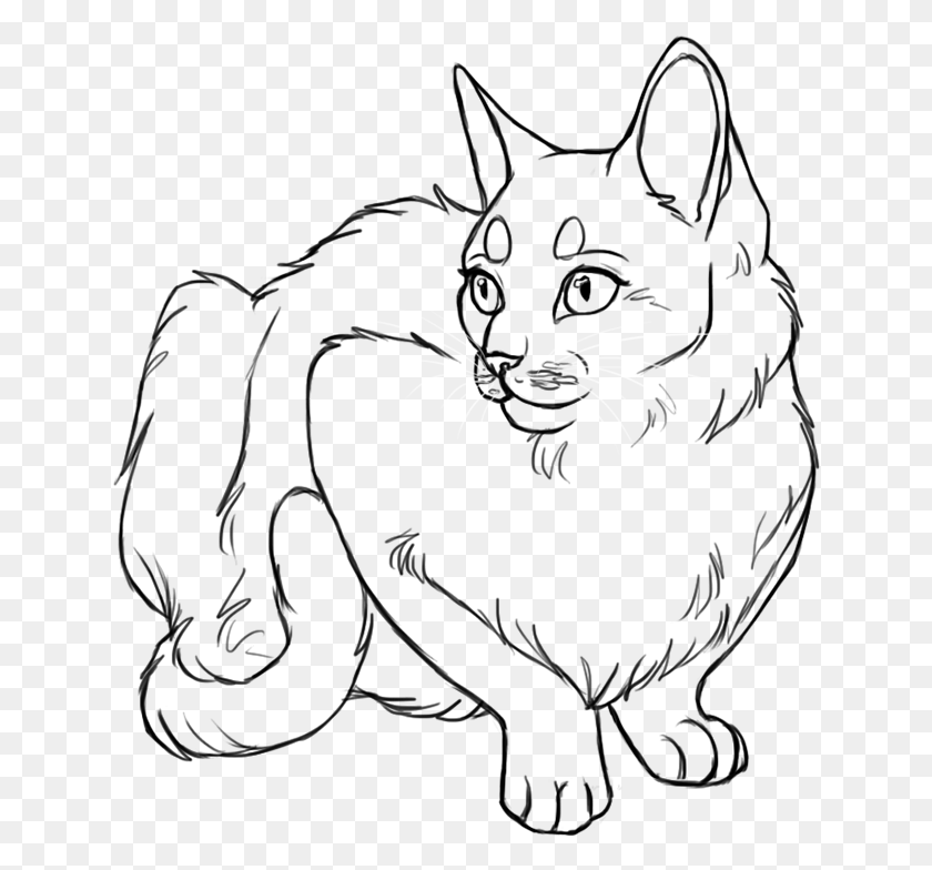 639x724 Line Drawing Cat Face Base Cat Art, Nature, Outdoors, Fireworks HD PNG Download