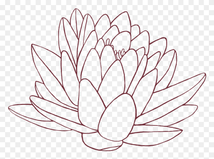 989x718 Lineart Flower Lotus Lineart, Plant, Dahlia, Blossom HD PNG Download