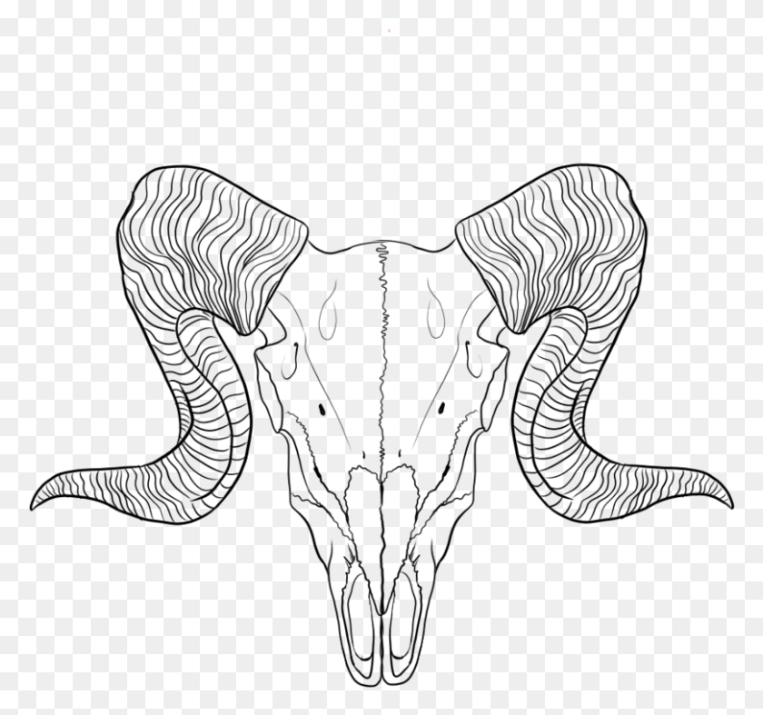 809x755 Lineart Ram By Ram Skull Dibujo Lineal, Aire Libre, Naturaleza, Gris Hd Png
