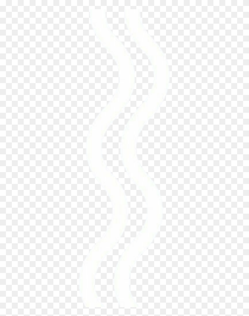 313x1005 Lines Lineoverlay Line Squiggles Squiggle Wavy Wavyline Monochrome, Text, Hand, Number HD PNG Download