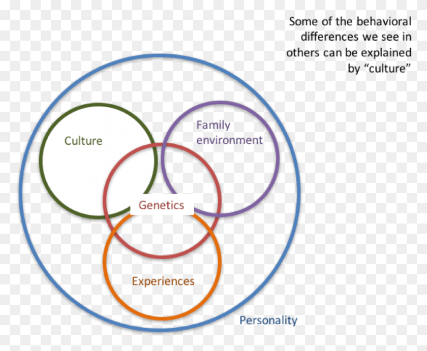 913x739 Link Between Culture Amp Personality Circle, Outdoors, Nature, Diagram HD PNG Download