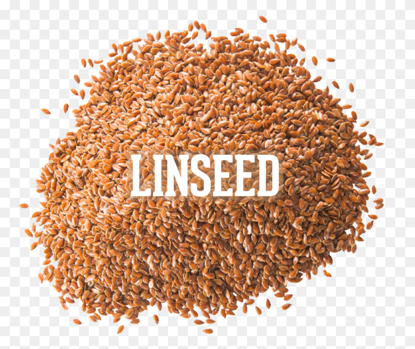 837x694 Linseed Seed, Plant, Vegetable, Food HD PNG Download