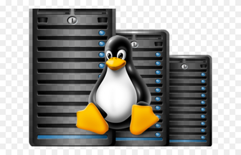 640x480 Linux Desktop, Penguin, Bird, Animal HD PNG Download
