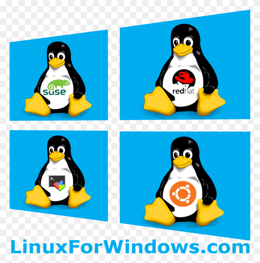 994x1003 Linux For Windows Linux, Penguin, Bird, Animal HD PNG Download