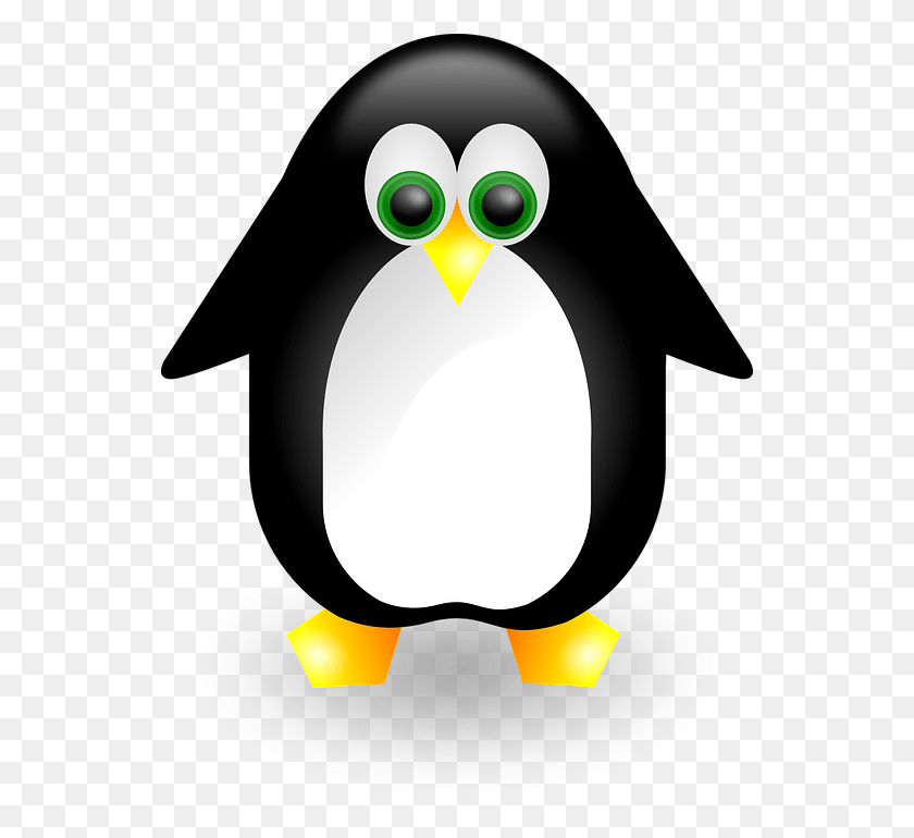 545x710 Descargar Png Logotipo De Linux Chim Cnh Ct Ng, Pájaro, Animal, Pingüino Hd Png