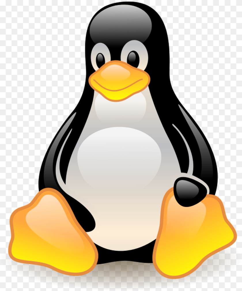 1105x1328 Linuxtuxlarryewing Tux Logo, Animal, Bird, Penguin, Nature Clipart PNG