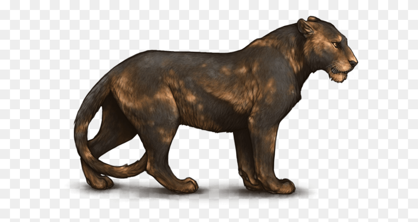 602x387 Лев, Млекопитающее, Животное, Дикая Природа Hd Png Скачать