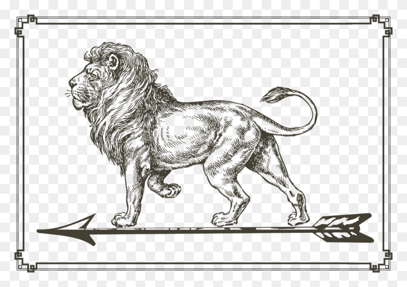 960x656 Lion Arrow Standing Picture Frame Transparent Golden Lion, Wildlife, Mammal, Animal HD PNG Download