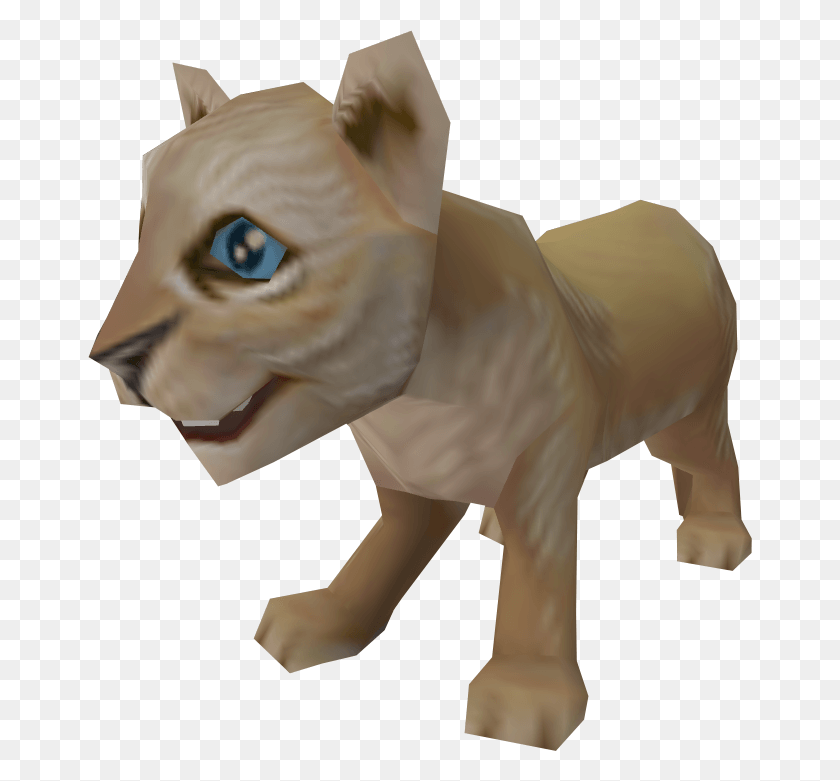 664x721 Lion Cub Transparent, Pet, Animal, Cat HD PNG Download