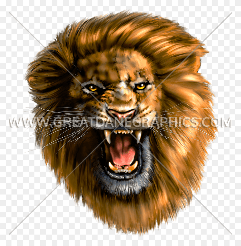 826x848 Lion Head Roaring Roaring Lion T Shirt, Honey Bee, Bee, Insect HD PNG Download