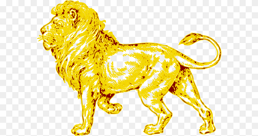 601x443 Lion In Gold With Brown Outline Clip Art Lion Lion Sketch, Animal, Mammal, Wildlife, Tiger Sticker PNG