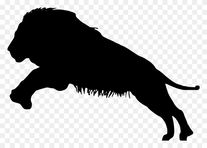 960x665 Lion Silhouette Mammal Wildlife Animal Predator Lion Silhouette Transparent Background, Gray, World Of Warcraft HD PNG Download
