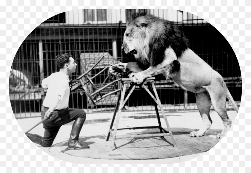 1024x683 Lion Tamer And Chair Oval Lion Tamer Chair Gif, Person, Human, Dog HD PNG Download