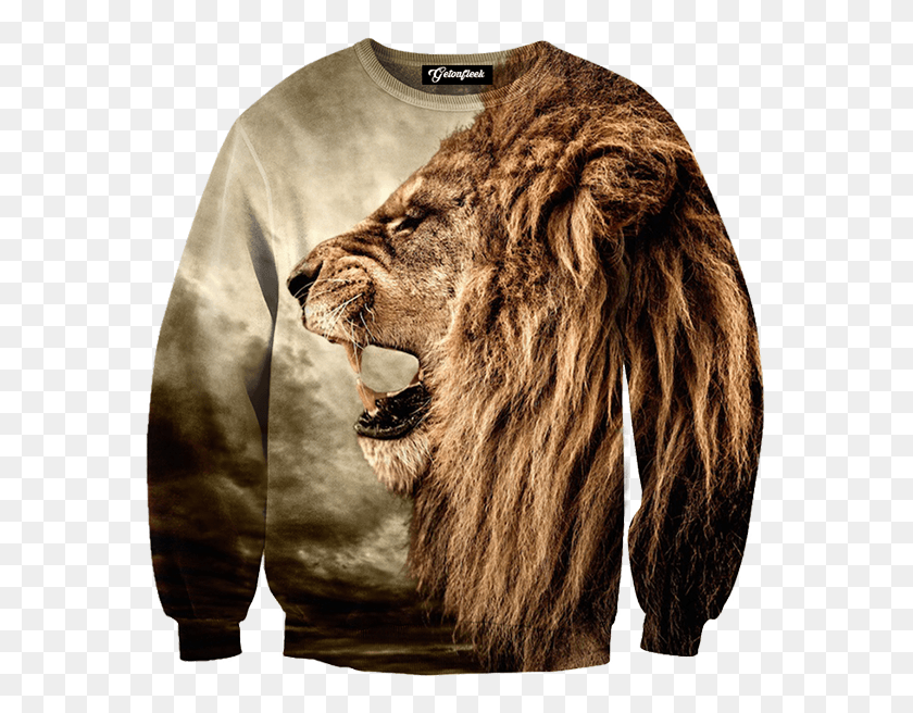 575x596 Lions Roar Crewneck Proverbs About A Lion, Wildlife, Mammal, Animal HD PNG Download