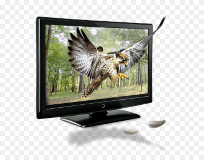 553x599 Liquid Crystal Display, Monitor, Screen, Electronics HD PNG Download