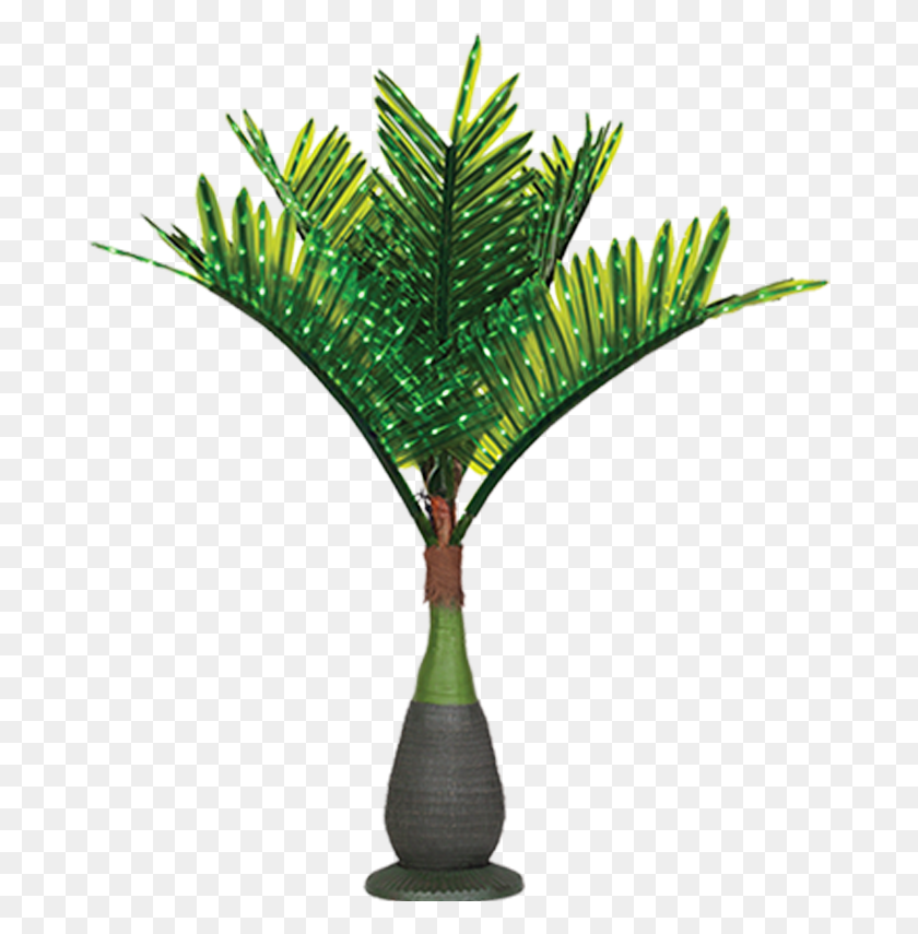 680x795 Lit Palm Trees Bottle Palm Tree, Staircase, Plant, Tree HD PNG Download